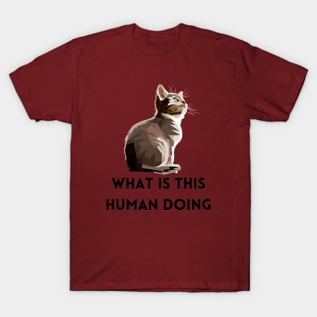 What Is This Human Doing Funny Cat Lovers Design T-Shirt by DressingDown